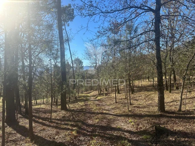 Terreno para Venda em Aboadela, Sanche e Várzea Foto 7