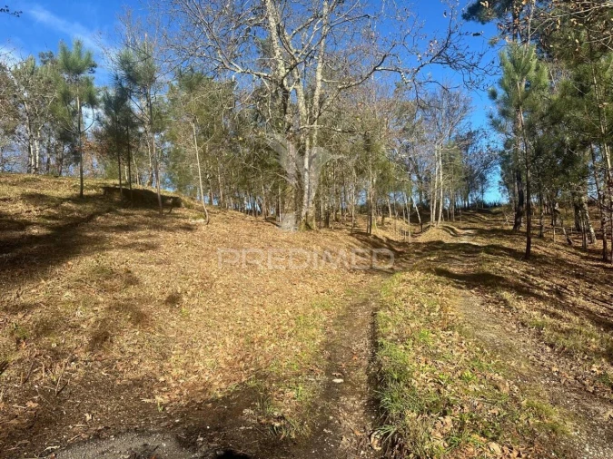 Terreno para Venda em Aboadela, Sanche e Várzea Foto 11