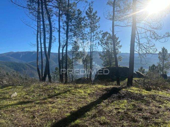 Terreno para Venda em Aboadela, Sanche e Várzea Foto 15