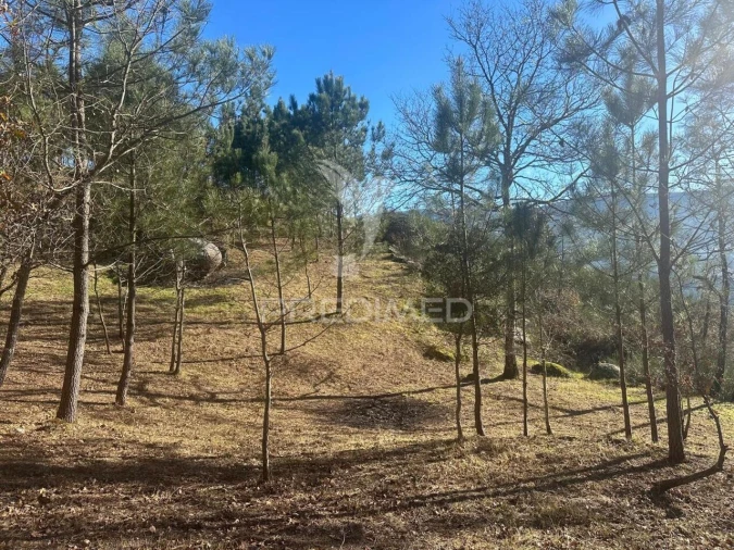 Terreno para Venda em Aboadela, Sanche e Várzea Foto 10