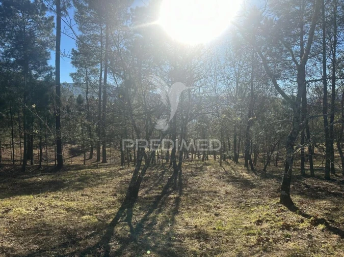 Terreno para Venda em Aboadela, Sanche e Várzea Foto 3