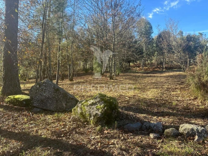 Terreno para Venda em Aboadela, Sanche e Várzea