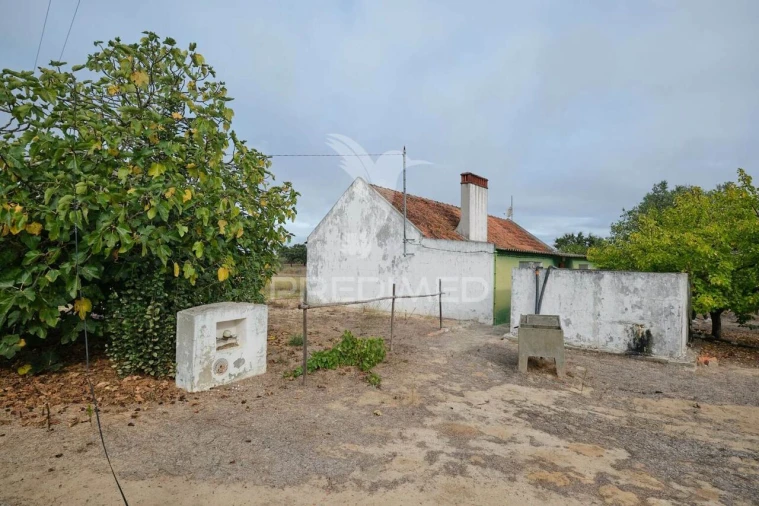 Quinta T2 para Venda em Grândola e Santa Margarida da Serra Foto 35