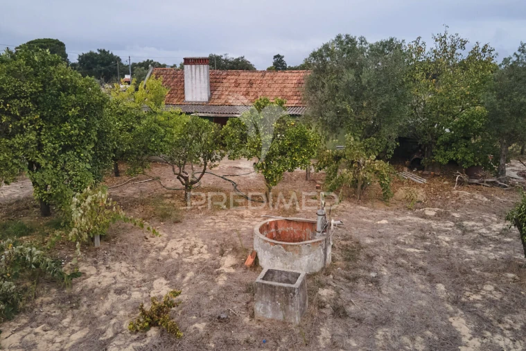 Quinta T2 para Venda em Grândola e Santa Margarida da Serra Foto 6