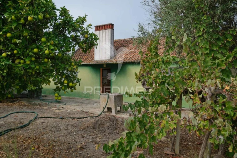 Quinta T2 para Venda em Grândola e Santa Margarida da Serra Foto 8