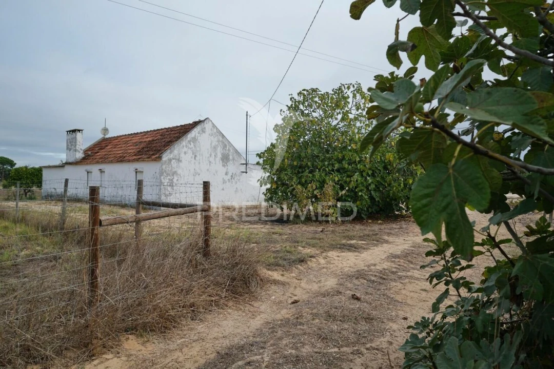 Quinta T2 para Venda em Grândola e Santa Margarida da Serra Foto 34