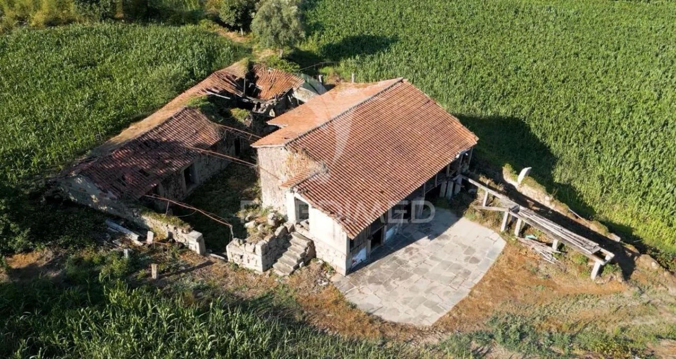 Quinta T5 para Venda em Leitões, Oleiros e Figueiredo Foto 5