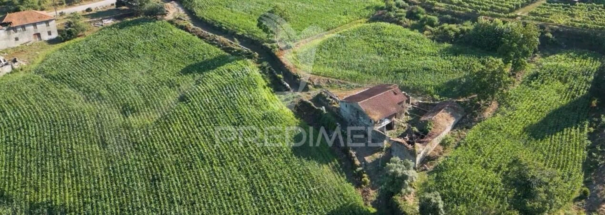 Quinta T5 para Venda em Leitões, Oleiros e Figueiredo Foto 15