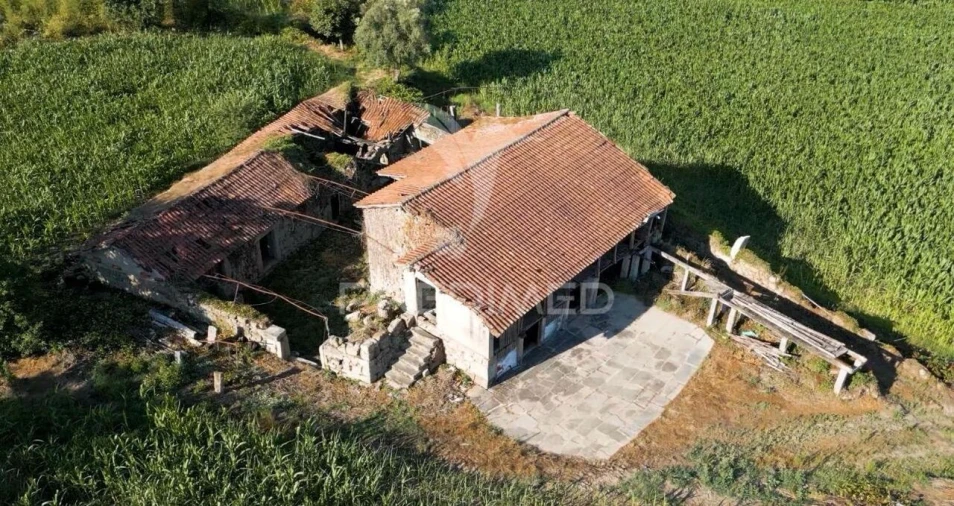 Quinta T5 para Venda em Leitões, Oleiros e Figueiredo Foto 5