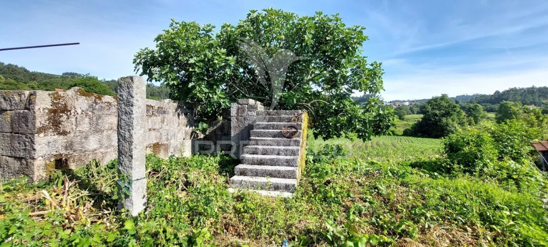 Quinta T5 para Venda em Leitões, Oleiros e Figueiredo Foto 13