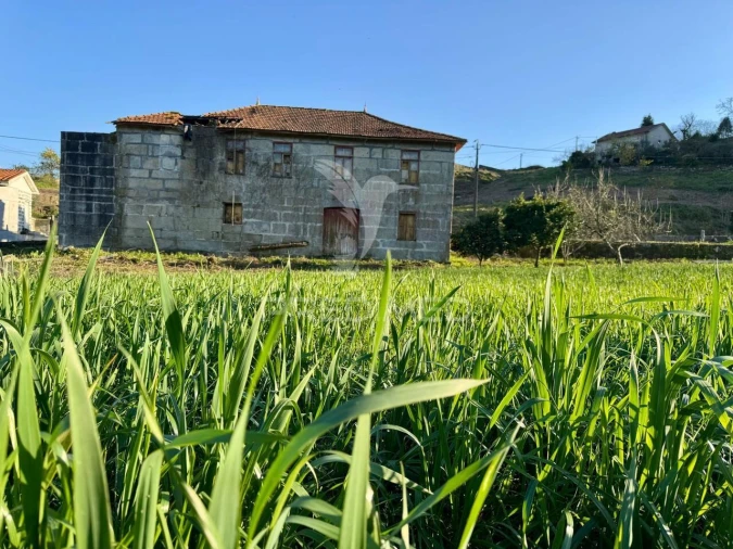 Quinta T5 para Venda em Leitões, Oleiros e Figueiredo Foto 3