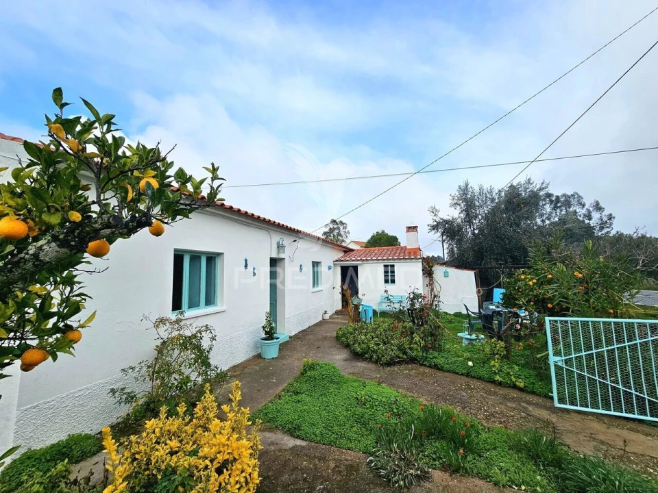 Moradia T3 para Venda em Almodôvar e Graça dos Padrões Foto 31