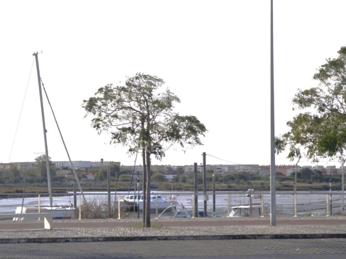 Apartamento T3 para Venda em Gaio-Rosário e Sarilhos Pequenos Foto 32