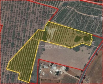 Moradia T4 para Venda em Conceição e Estoi