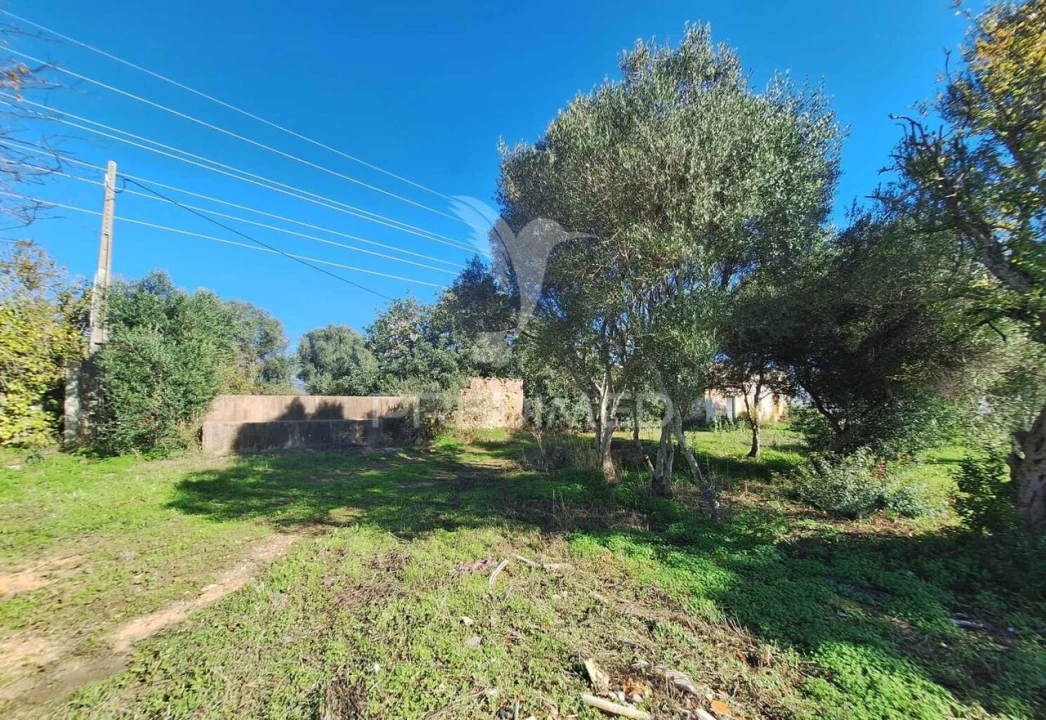 Moradia T4 para Venda em Conceição e Estoi Foto 13