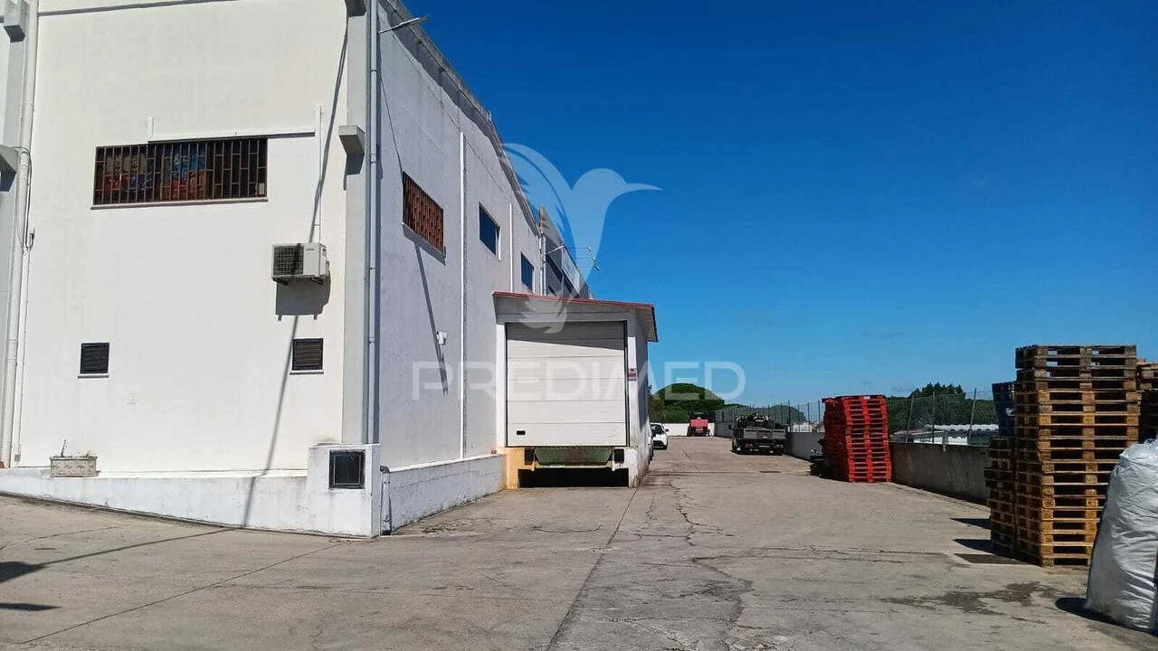 Armazém para Venda em Santa Maria e São Miguel, São Martinho, São Pedro Penaferrim Foto 3