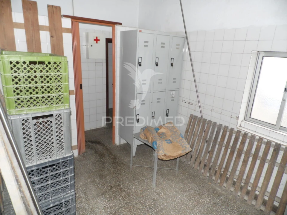 Loja para Venda em São Sebastião da Giesteira e Nossa Senhora da Boa Fé Foto 16