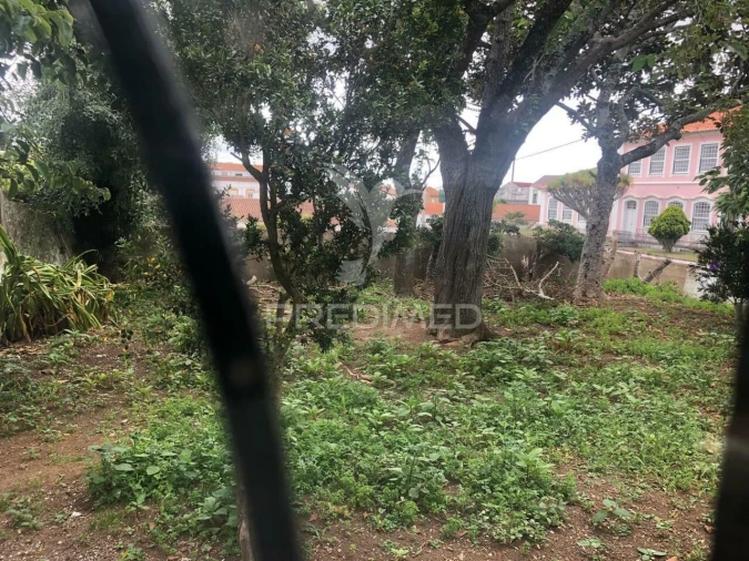 Moradia T3 para Venda em Angra (Nossa Senhora da Conceição) Foto 6