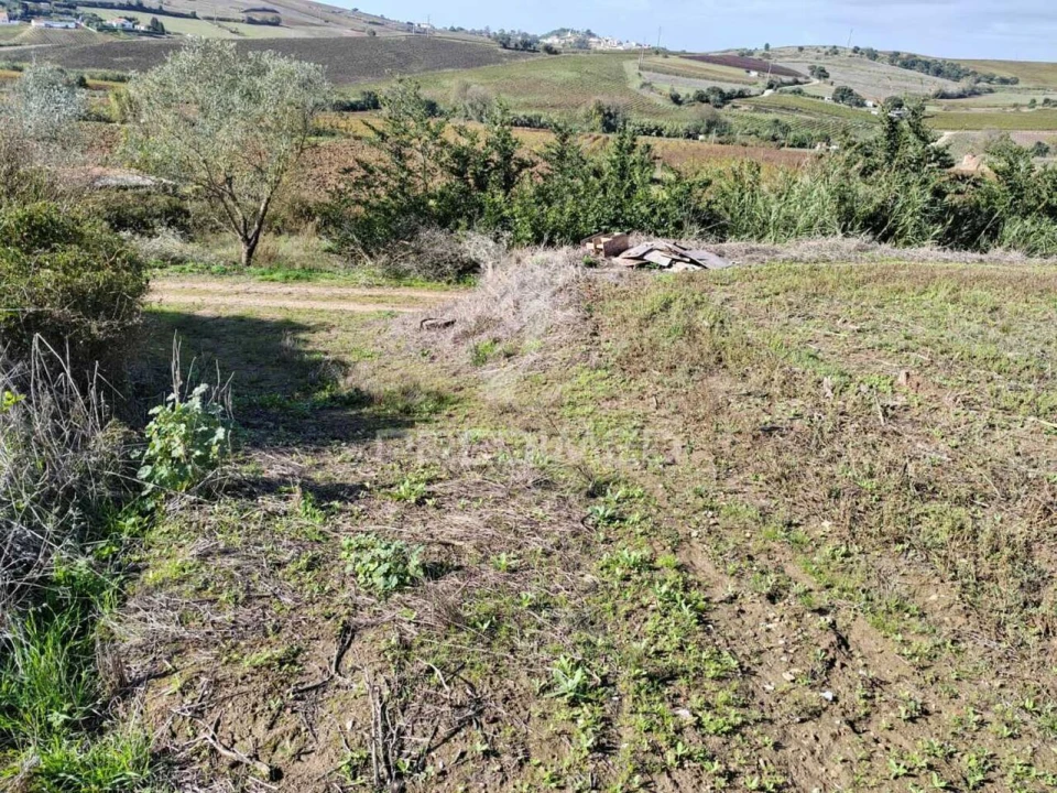 Terreno para Venda em Santa Maria, São Pedro e Matacães Foto 6