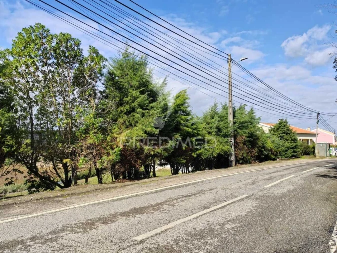 Terreno para Venda em Santa Maria, São Pedro e Matacães Foto 4