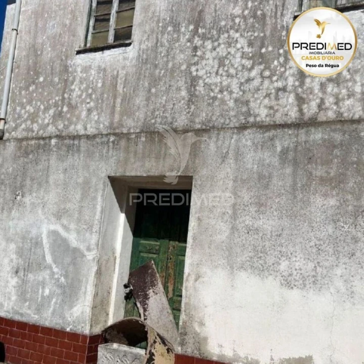 Prédio para Venda em Peso da Régua e Godim Foto 16