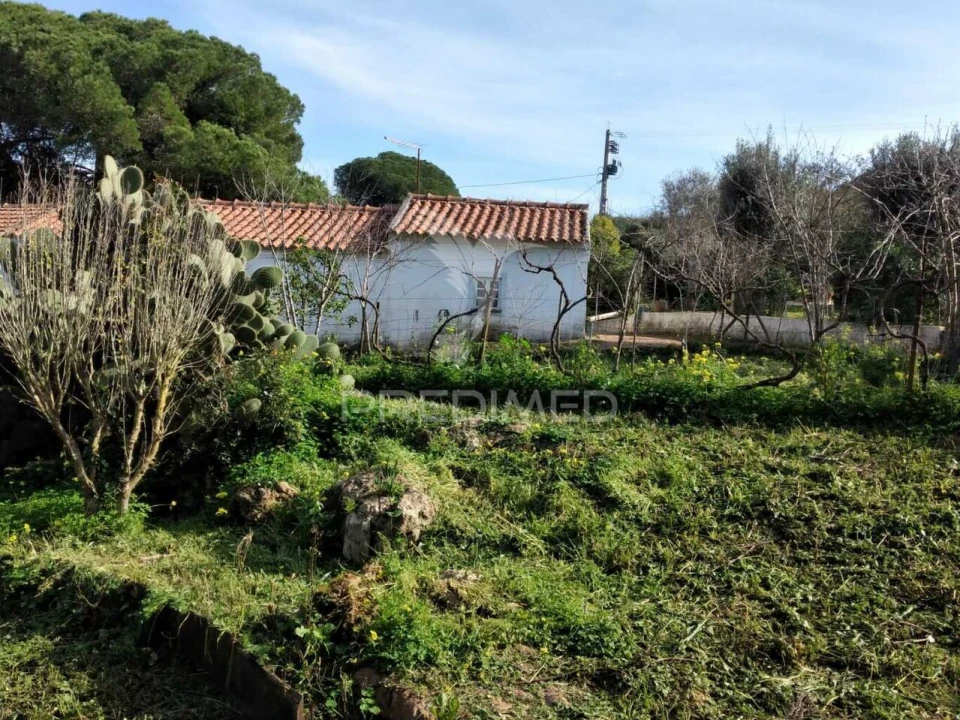 Quinta T3 para Venda em Santiago do Cacém, Santa Cruz e São Bartolomeu da Serra Foto 23