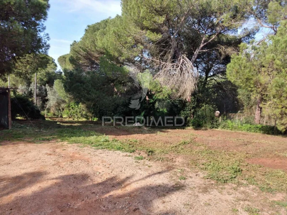Quinta T3 para Venda em Santiago do Cacém, Santa Cruz e São Bartolomeu da Serra Foto 22