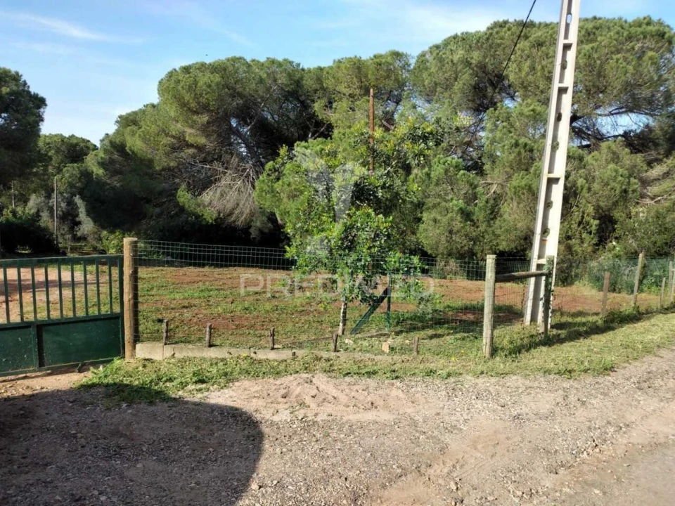 Quinta T3 para Venda em Santiago do Cacém, Santa Cruz e São Bartolomeu da Serra Foto 30