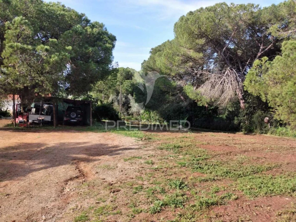 Quinta T3 para Venda em Santiago do Cacém, Santa Cruz e São Bartolomeu da Serra Foto 2
