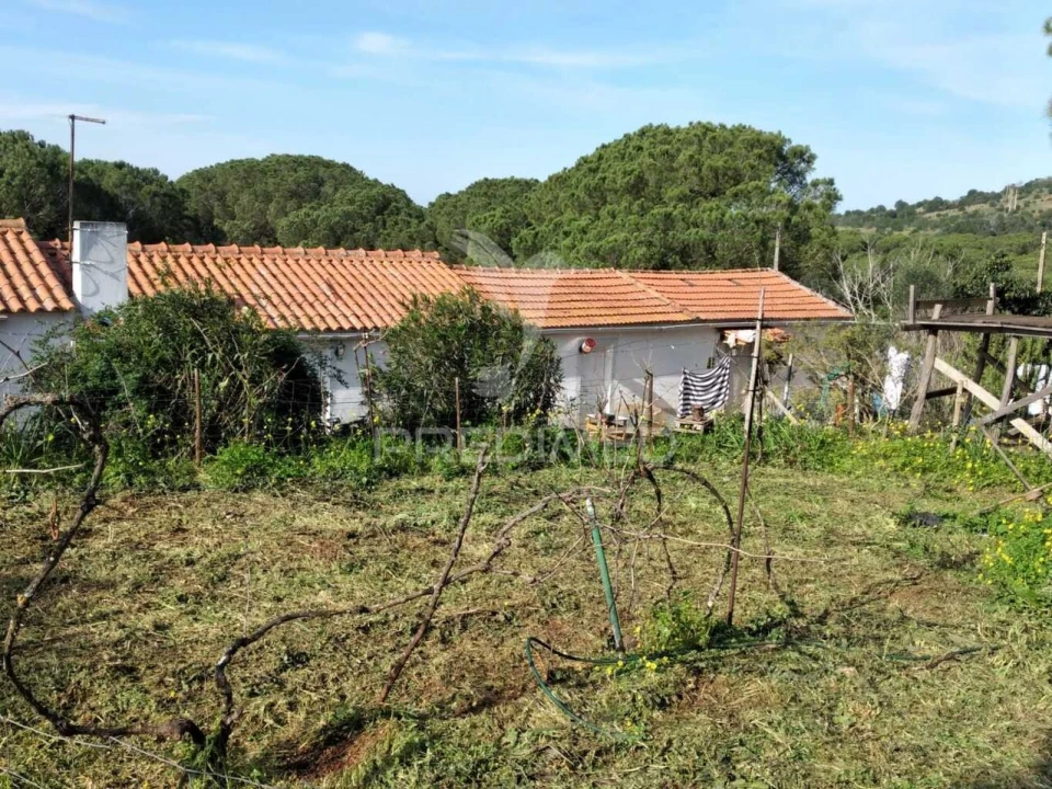 Quinta T3 para Venda em Santiago do Cacém, Santa Cruz e São Bartolomeu da Serra Foto 6