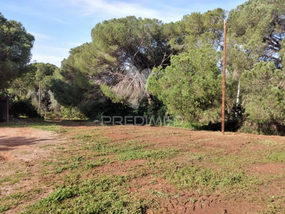 Quinta T3 para Venda em Santiago do Cacém, Santa Cruz e São Bartolomeu da Serra Foto 18