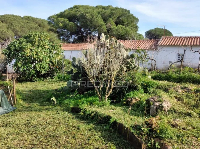 Quinta T3 para Venda em Santiago do Cacém, Santa Cruz e São Bartolomeu da Serra Foto 5