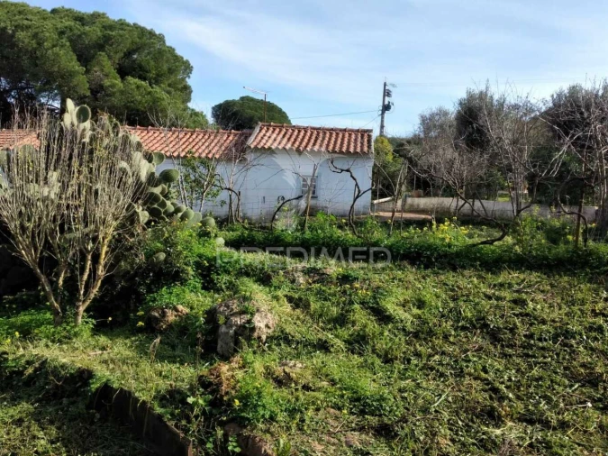 Quinta T3 para Venda em Santiago do Cacém, Santa Cruz e São Bartolomeu da Serra Foto 23