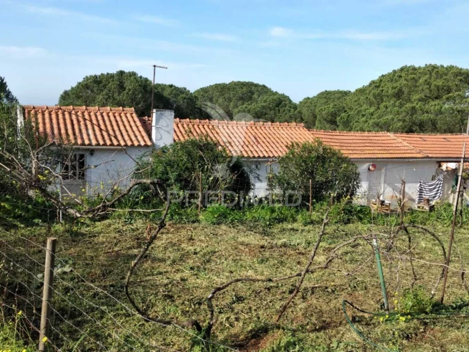 Quinta T3 para Venda em Santiago do Cacém, Santa Cruz e São Bartolomeu da Serra Foto 7