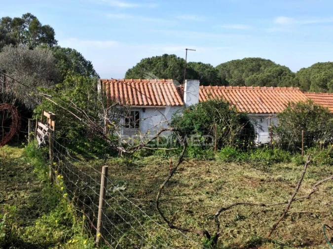 Quinta T3 para Venda em Santiago do Cacém, Santa Cruz e São Bartolomeu da Serra Foto 15