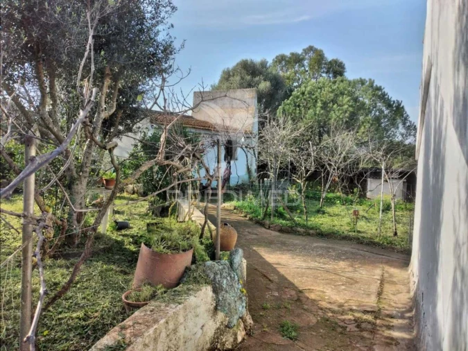 Quinta T3 para Venda em Santiago do Cacém, Santa Cruz e São Bartolomeu da Serra Foto 28