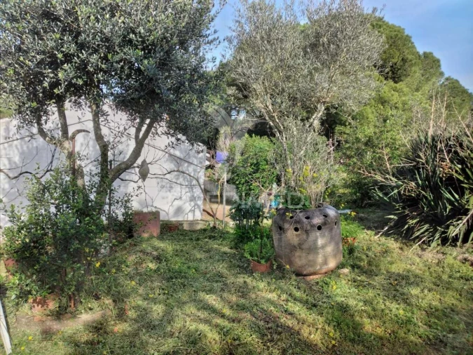 Quinta T3 para Venda em Santiago do Cacém, Santa Cruz e São Bartolomeu da Serra Foto 16