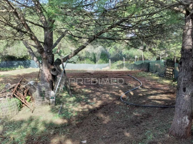 Quinta T3 para Venda em Santiago do Cacém, Santa Cruz e São Bartolomeu da Serra Foto 27