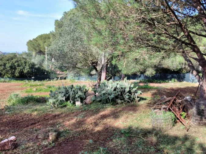 Quinta T3 para Venda em Santiago do Cacém, Santa Cruz e São Bartolomeu da Serra Foto 26
