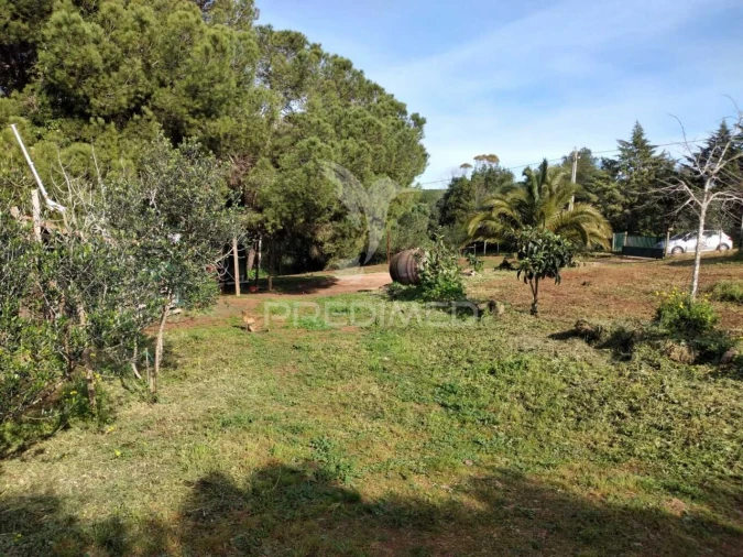 Quinta T3 para Venda em Santiago do Cacém, Santa Cruz e São Bartolomeu da Serra Foto 19