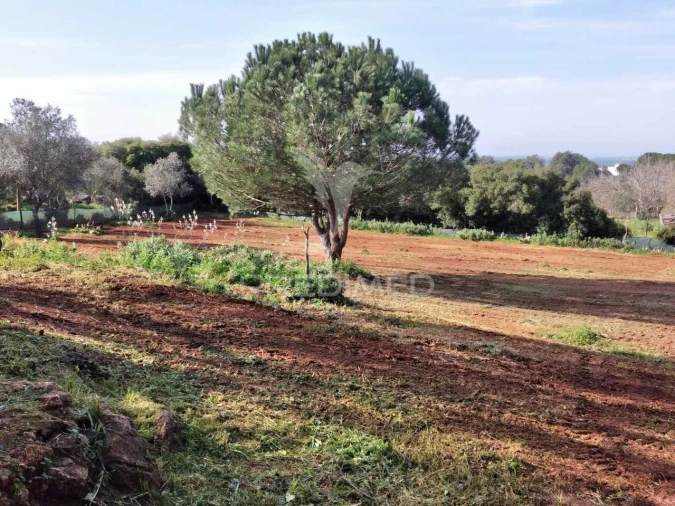 Quinta T3 para Venda em Santiago do Cacém, Santa Cruz e São Bartolomeu da Serra Foto 24