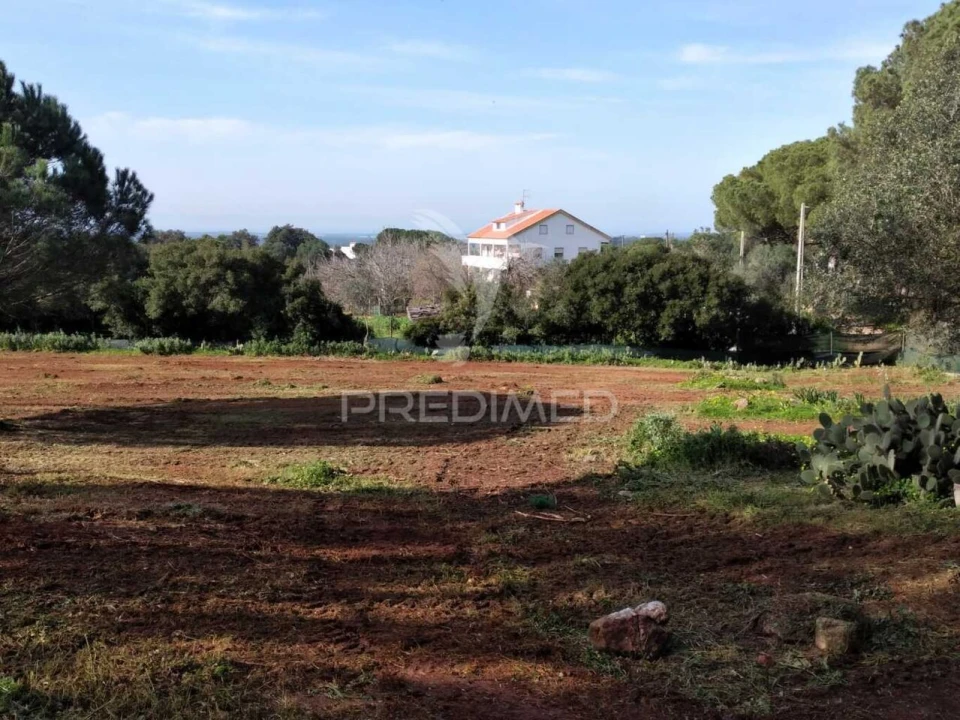 Quinta T3 para Venda em Santiago do Cacém, Santa Cruz e São Bartolomeu da Serra Foto 25