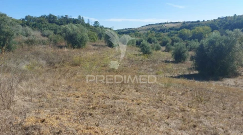 Terreno para Venda em Achete, Azoia de Baixo e Póvoa de Santarém
