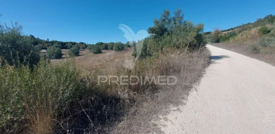 Terreno para Venda em Achete, Azoia de Baixo e Póvoa de Santarém