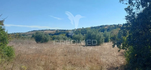 Terreno para Venda em Achete, Azoia de Baixo e Póvoa de Santarém