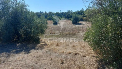 Terreno para Venda em Achete, Azoia de Baixo e Póvoa de Santarém