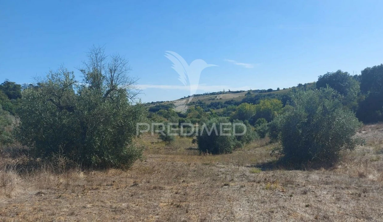 Terreno para Venda em Achete, Azoia de Baixo e Póvoa de Santarém Foto 7