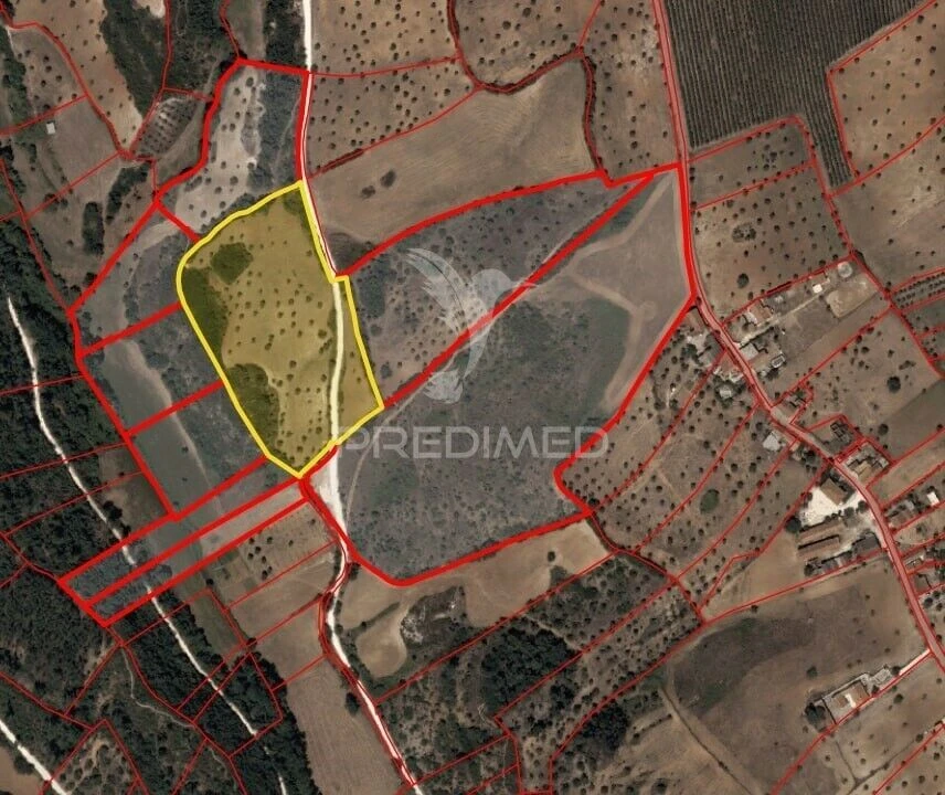 Terreno para Venda em Achete, Azoia de Baixo e Póvoa de Santarém Foto 14