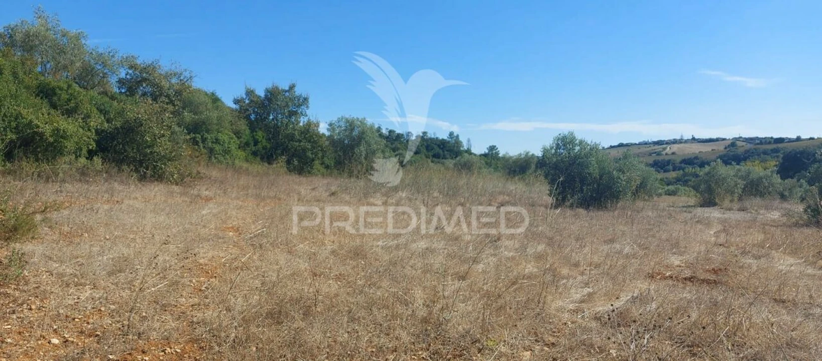 Terreno para Venda em Achete, Azoia de Baixo e Póvoa de Santarém Foto 9