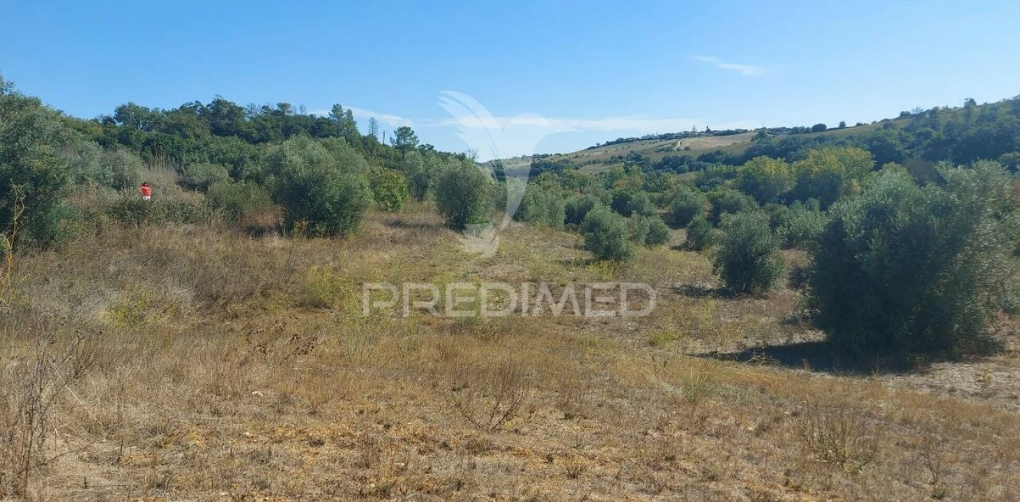 Terreno para Venda em Achete, Azoia de Baixo e Póvoa de Santarém Foto 1